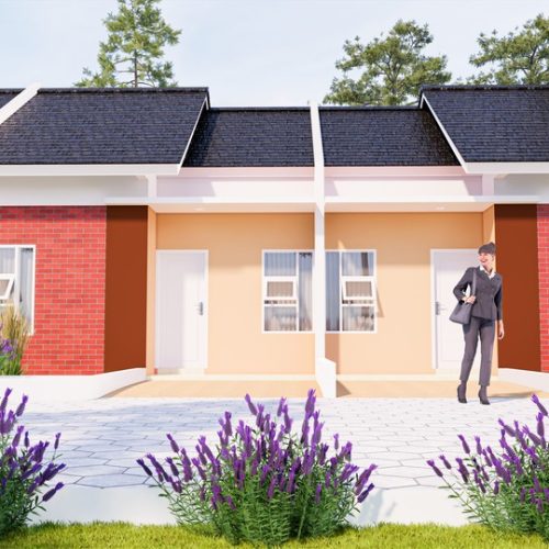 3D rumah tipe subsidi 30 / 60 dengan desain terracotta